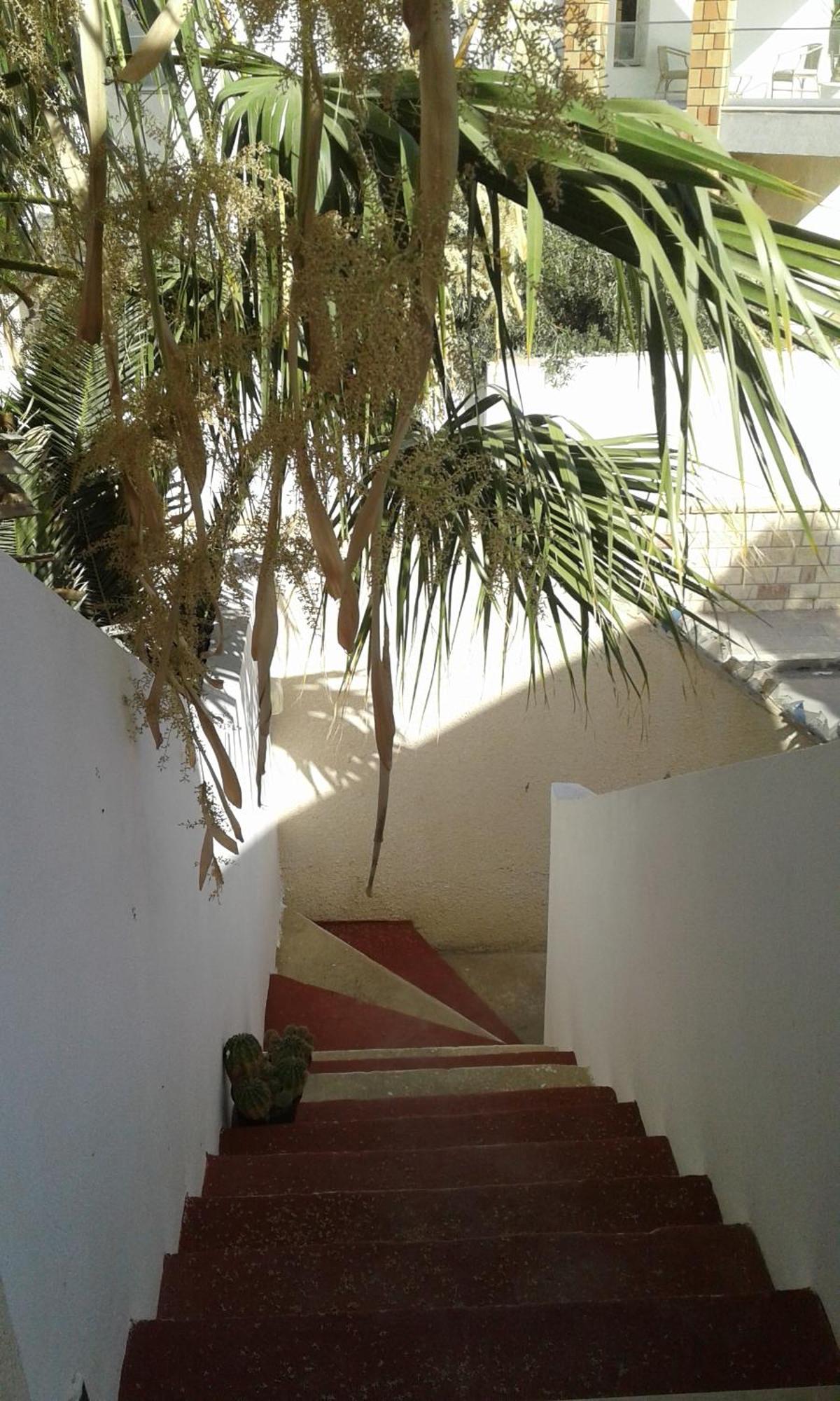 Duplex Pied Dans L'Eau Avec Magnifique Vue Sur Mer Monastir Eksteriør bilde